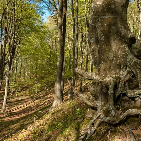 12b Niebieskie Z Basenem Krytym, Odkrytym, Sala Zabaw, Animacjami Appartement