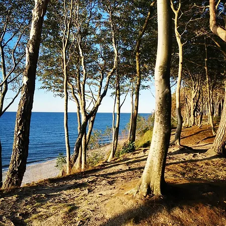 12b Niebieskie Z Basenem Krytym, Odkrytym, Sala Zabaw, Animacjami Appartement Poddąbie