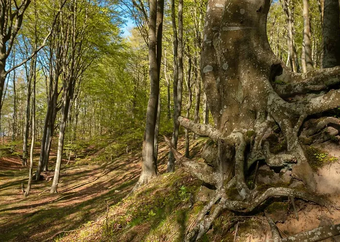 12b Niebieskie Z Basenem Krytym, Odkrytym, Sala Zabaw, Animacjami Апартаменты